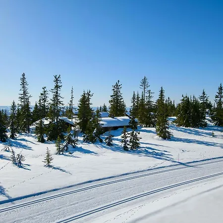 Family-friendly At With Trails, Sauna And Fireplace