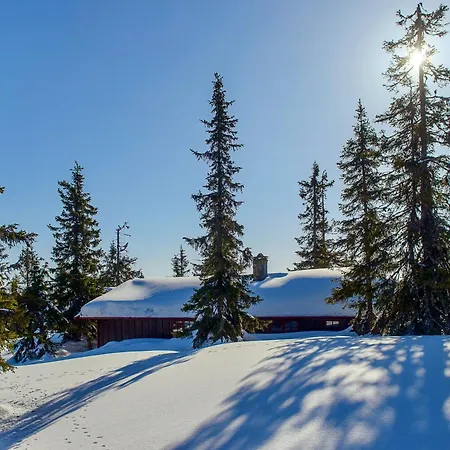 Family-friendly At With Trails, Sauna And Fireplace Sjusjøen